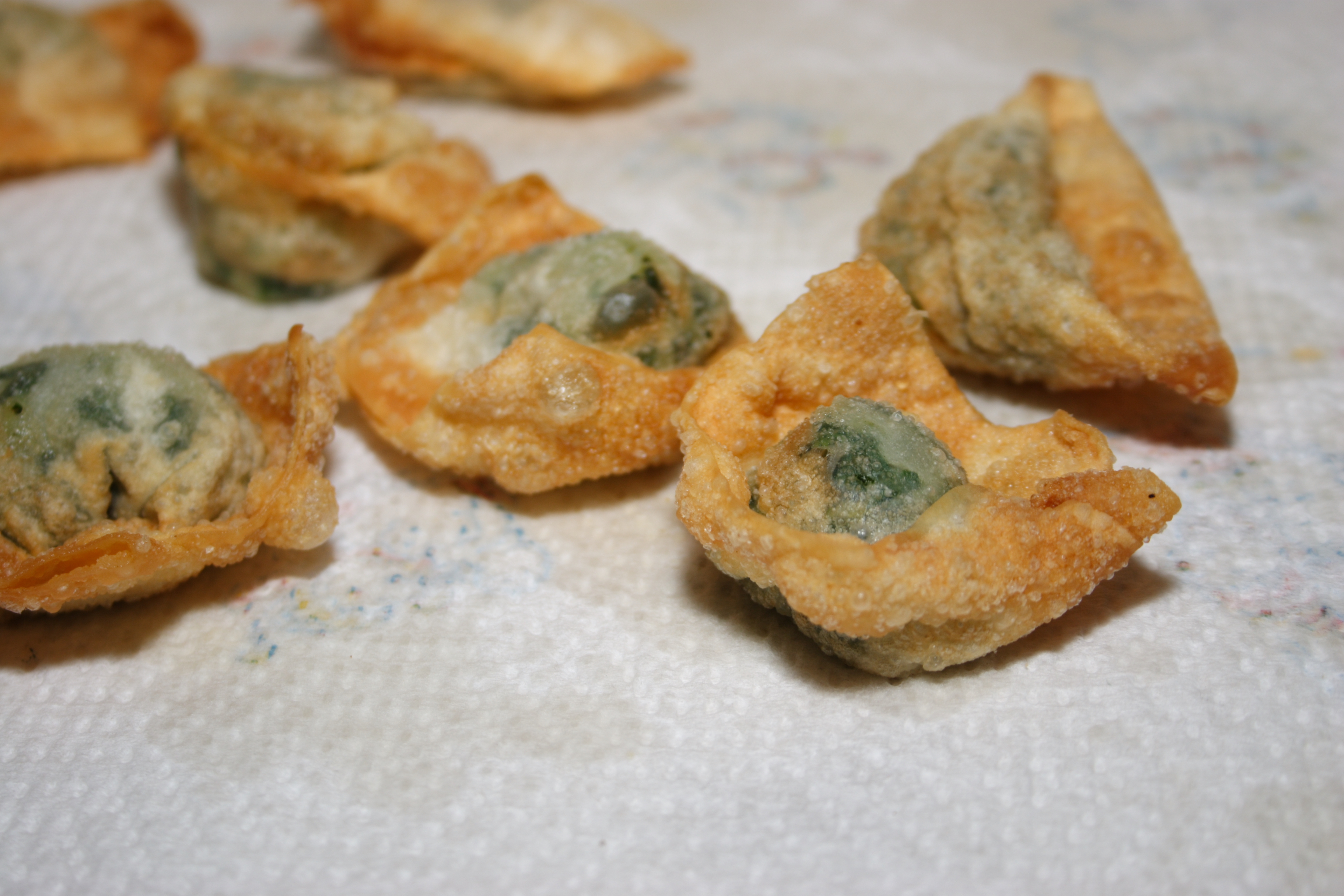 Spinach Wontons (Deep Fried)