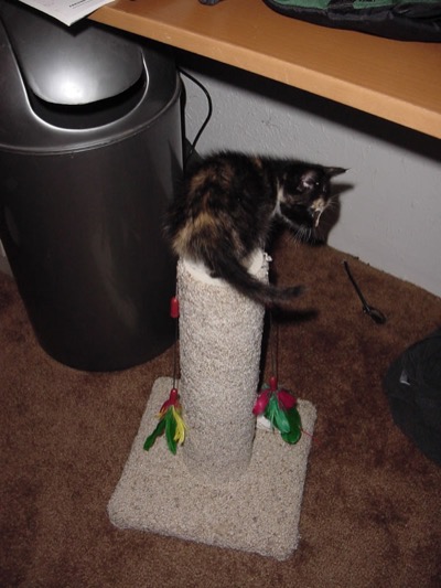 the climbing begins..