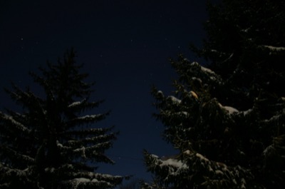 Two hours at 15 below, but frozen hands are nothing for this sort of beauty