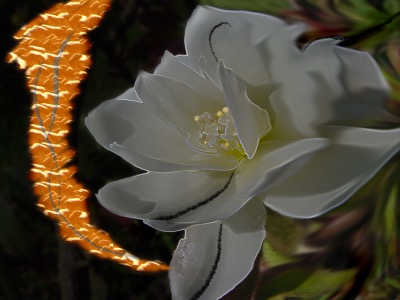 Las Muses (Chiclayo, Perú)