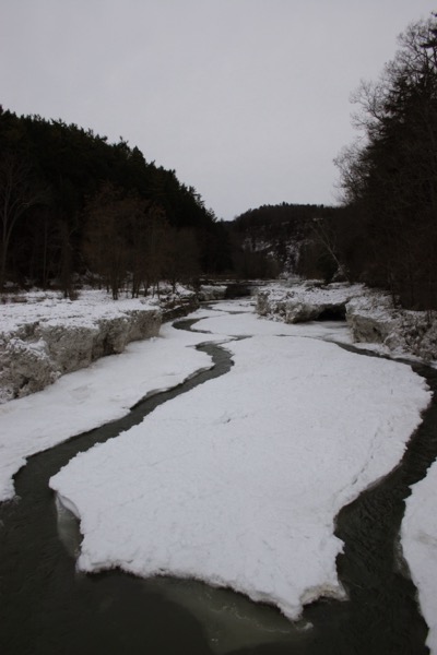 near Taughannock falls