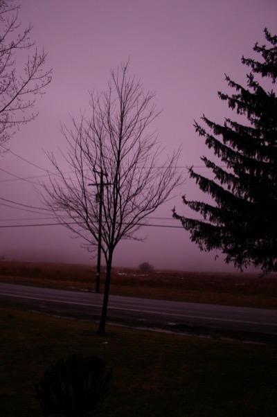 No color correction, that was the sunset.