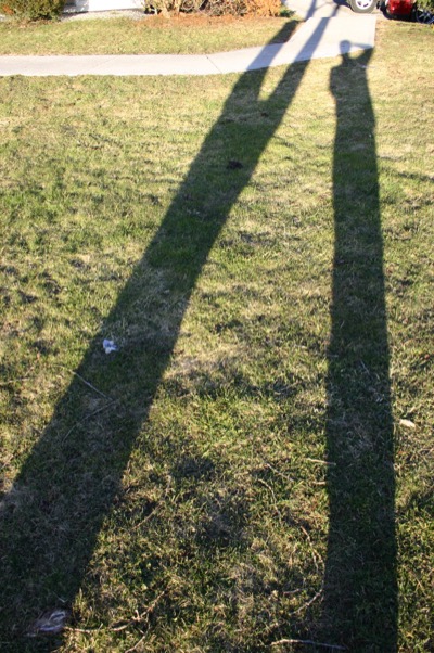 the tree is taller than me.