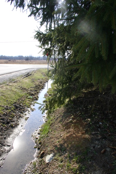 the remnants of winter