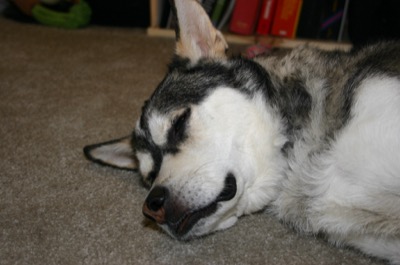 obligatory cute-momes picture