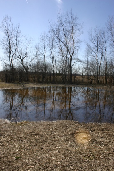 Montezuma wildlife preserve