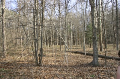 the beauty of living in Ithaca