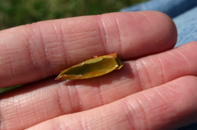 two days later, it\'s all fallen