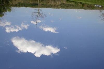 my view for most of an afternoon