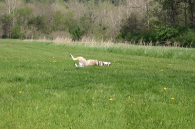 this continued all over the park