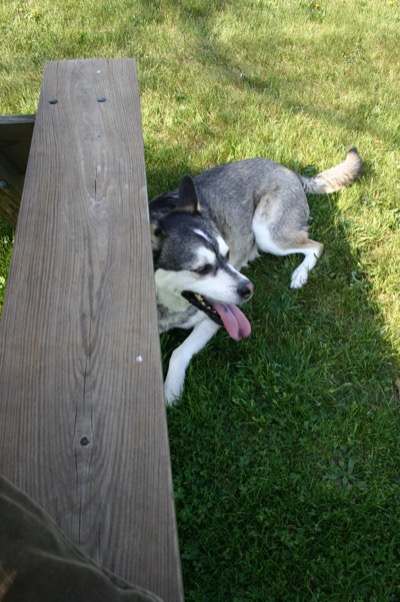 hot and tired, time for a rest