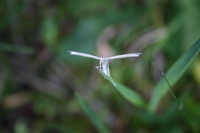 No idea, but he was cute.