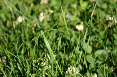 and I am still unable to truly share..