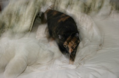 running from the camera