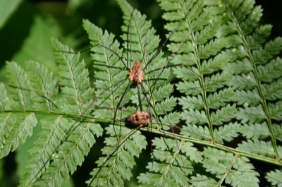 .. is in the eye of the beholder