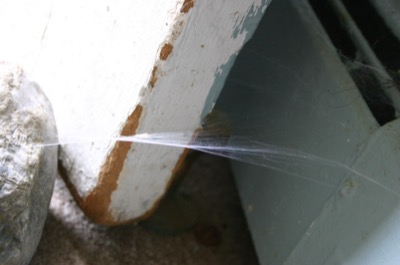 what was, and lights in the night