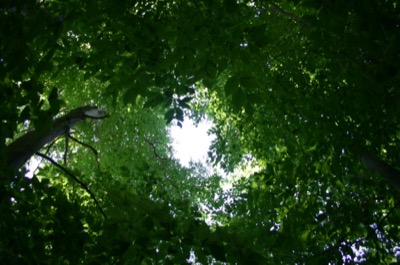 spiral into sunlight