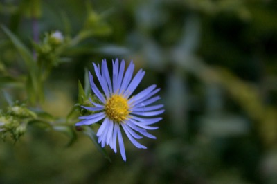 beginnings of autumn