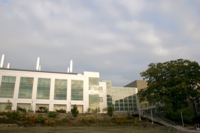 autumn meets ivy league