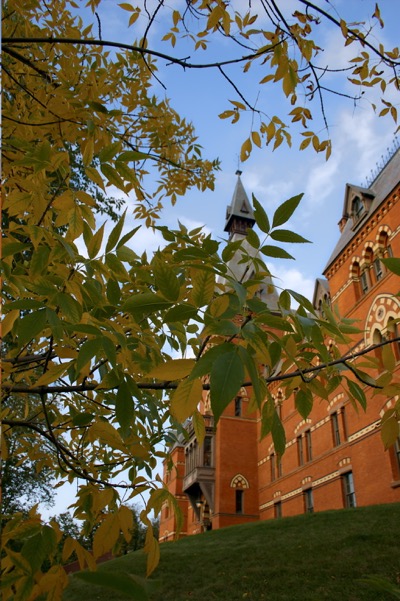 sage hall through leaves