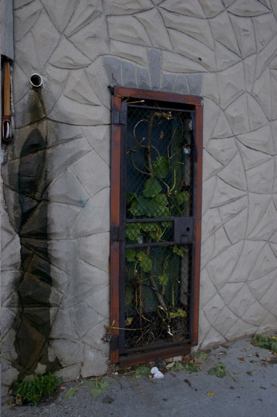 the doorway to narnia