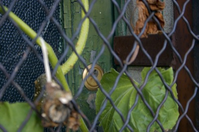 i wonder if the key is lost