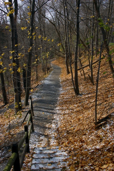 first snowfall of the winter