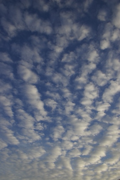 afternoon in chandler