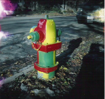 100% fire hydrant