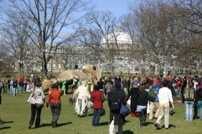 For some reason, the fine arts students made a bunny.